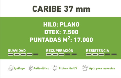 Caribe 37mm